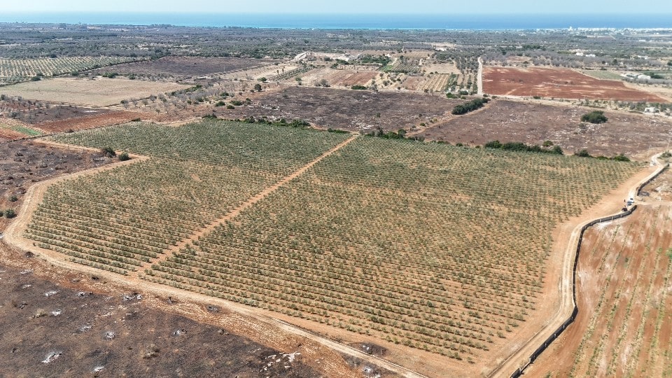 Giano Group Immobiliare